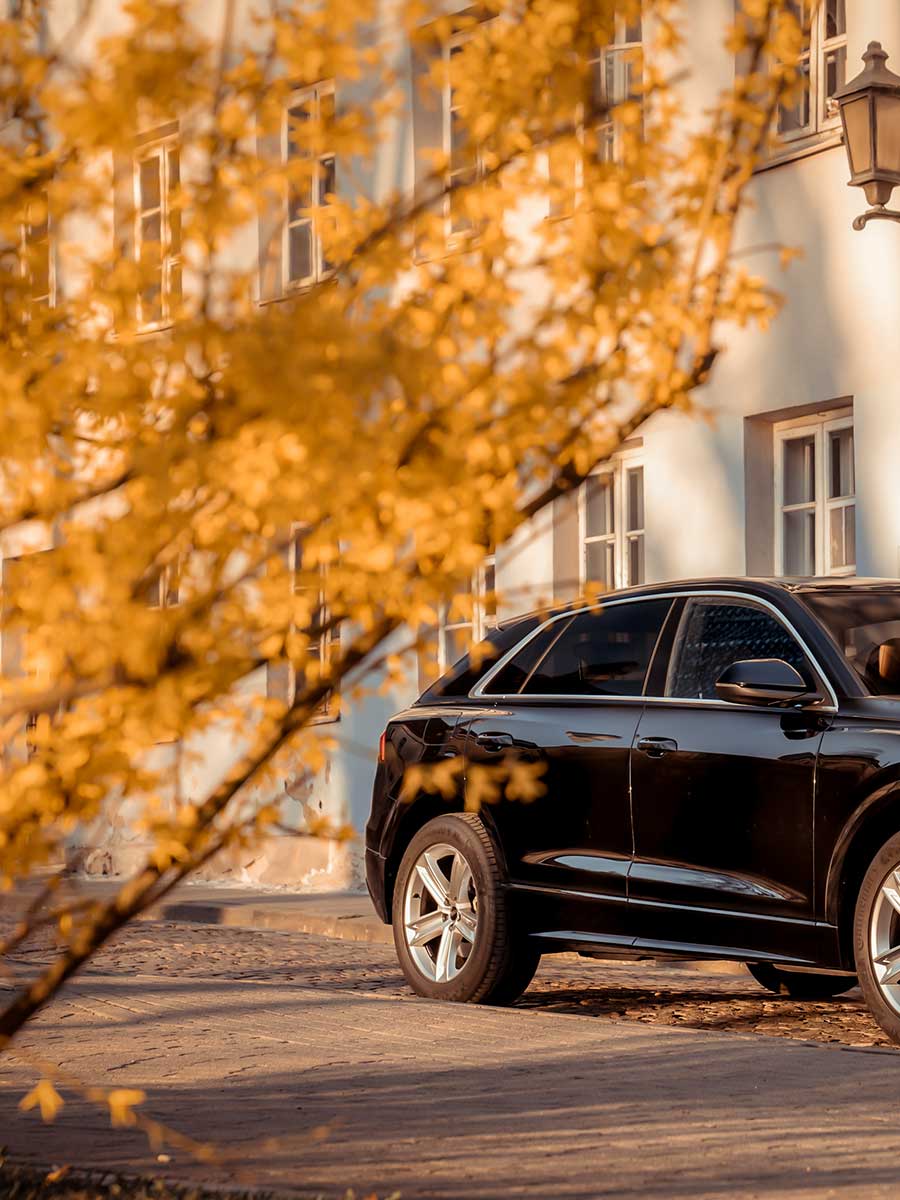 Individual tours around lithuania