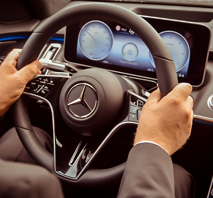 Professional transportation service in Lithuania